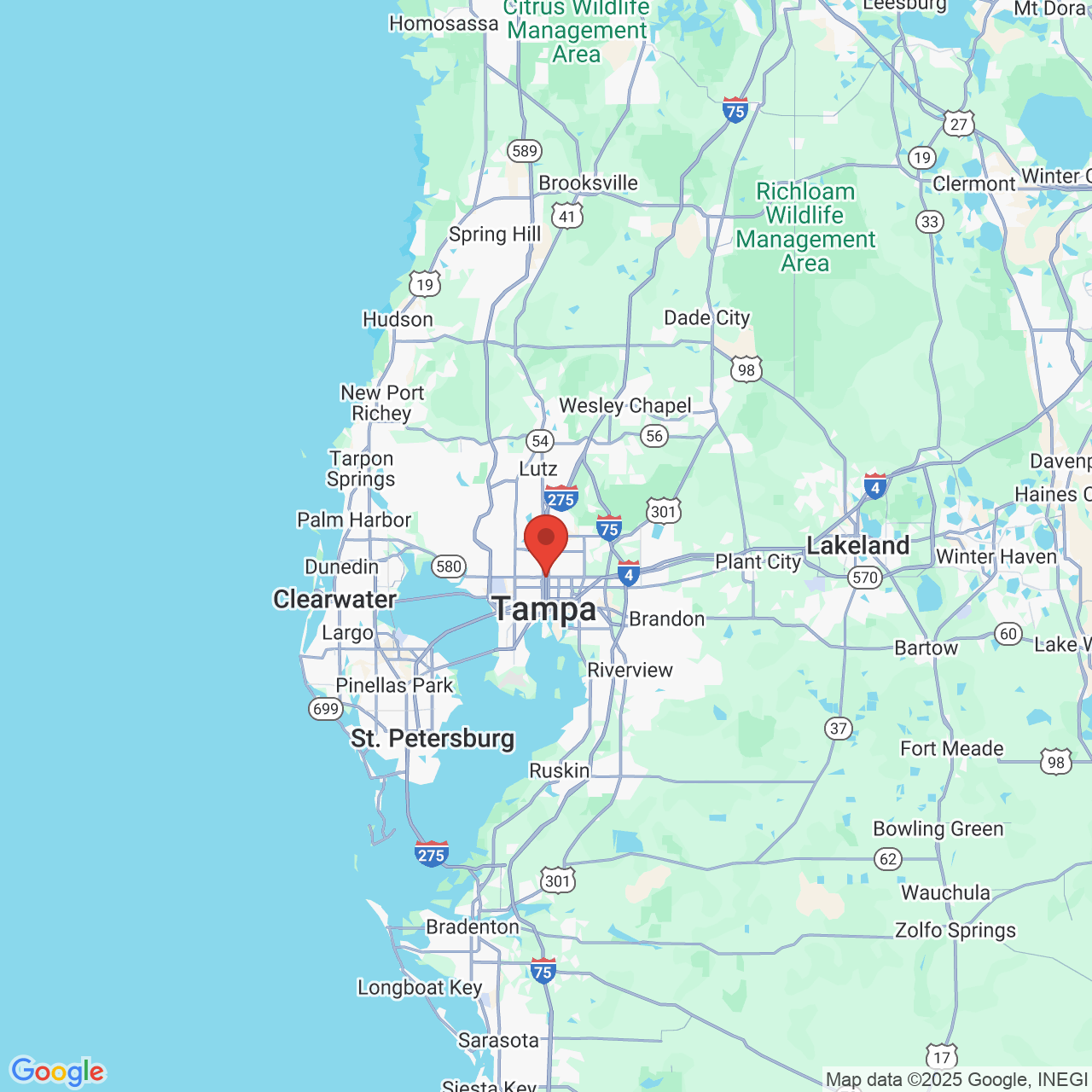 Google map image of our location in 5310 N. Central Avenue Tampa, FL